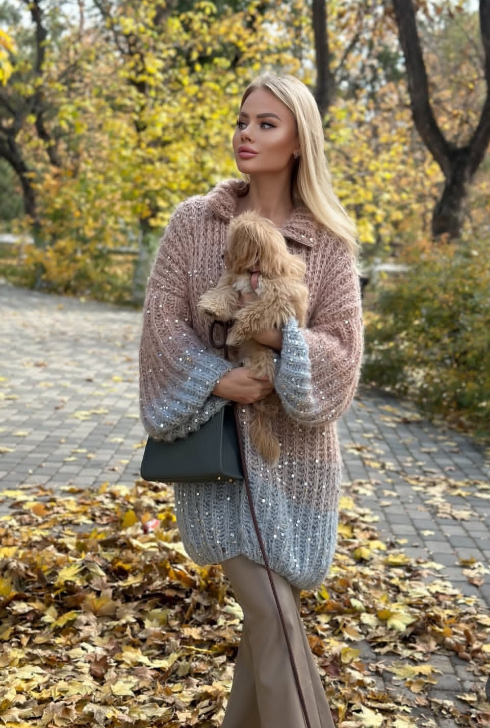 Дама с йоркширским терьером