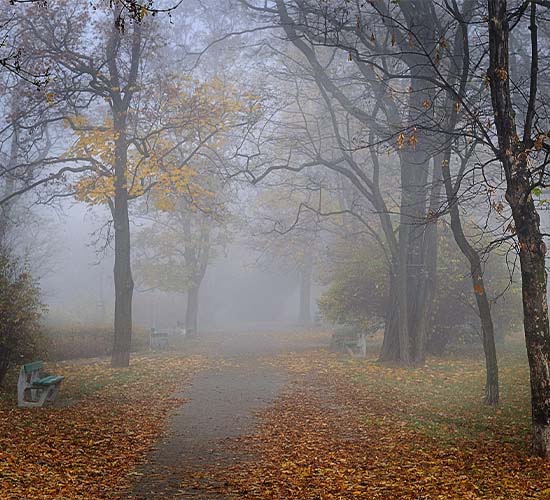 Осенняя грусть