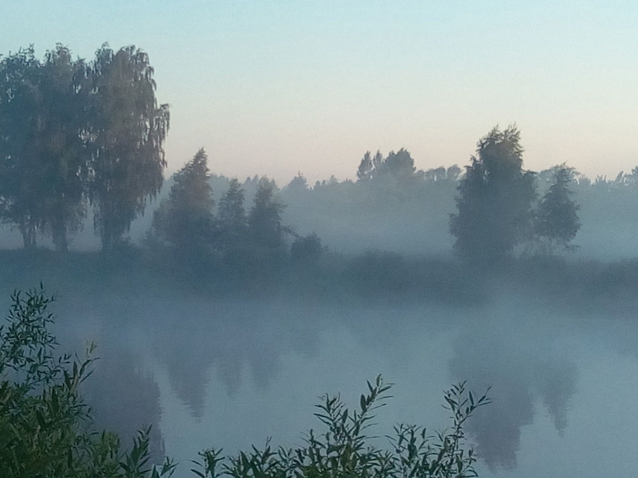 Туман Самайна