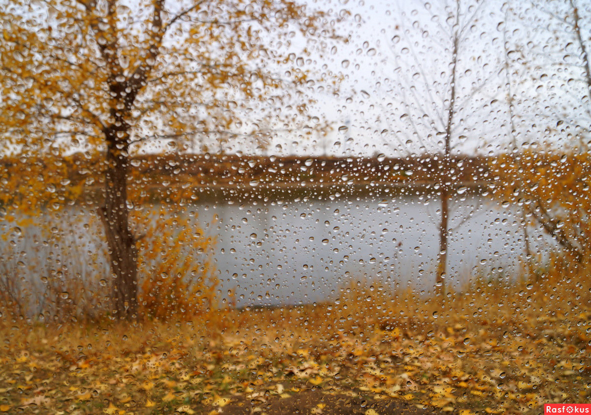 Подруга осень