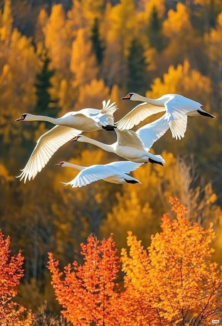 Провожаем осень