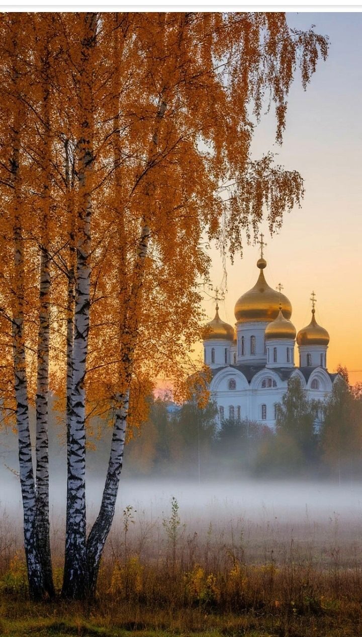 Зима Белая ворона. 2025 год