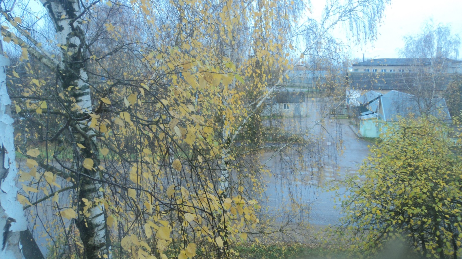 немного, ,, ,, того, ,, , 29 октября