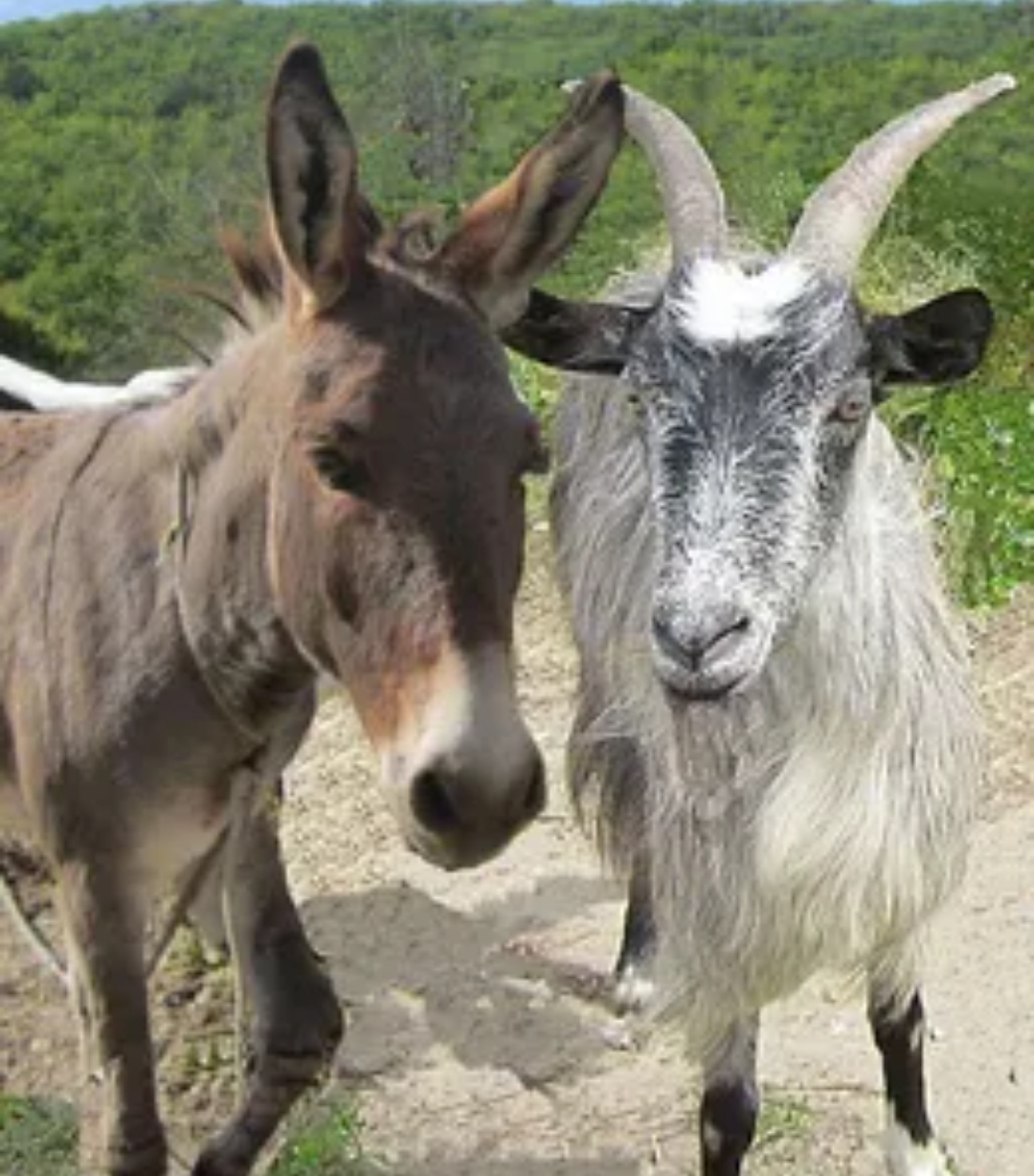 бассейны в Москве