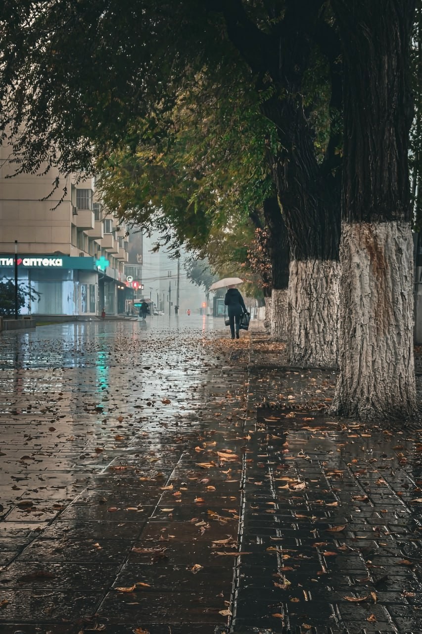 Дела жизни Н с659