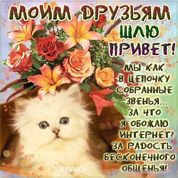 Друзьям с теплом! 147