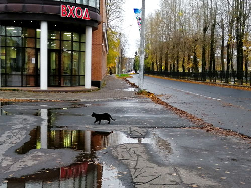 вот в то и верить...