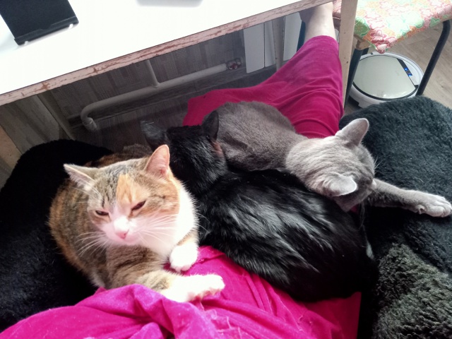 В последних числах октября