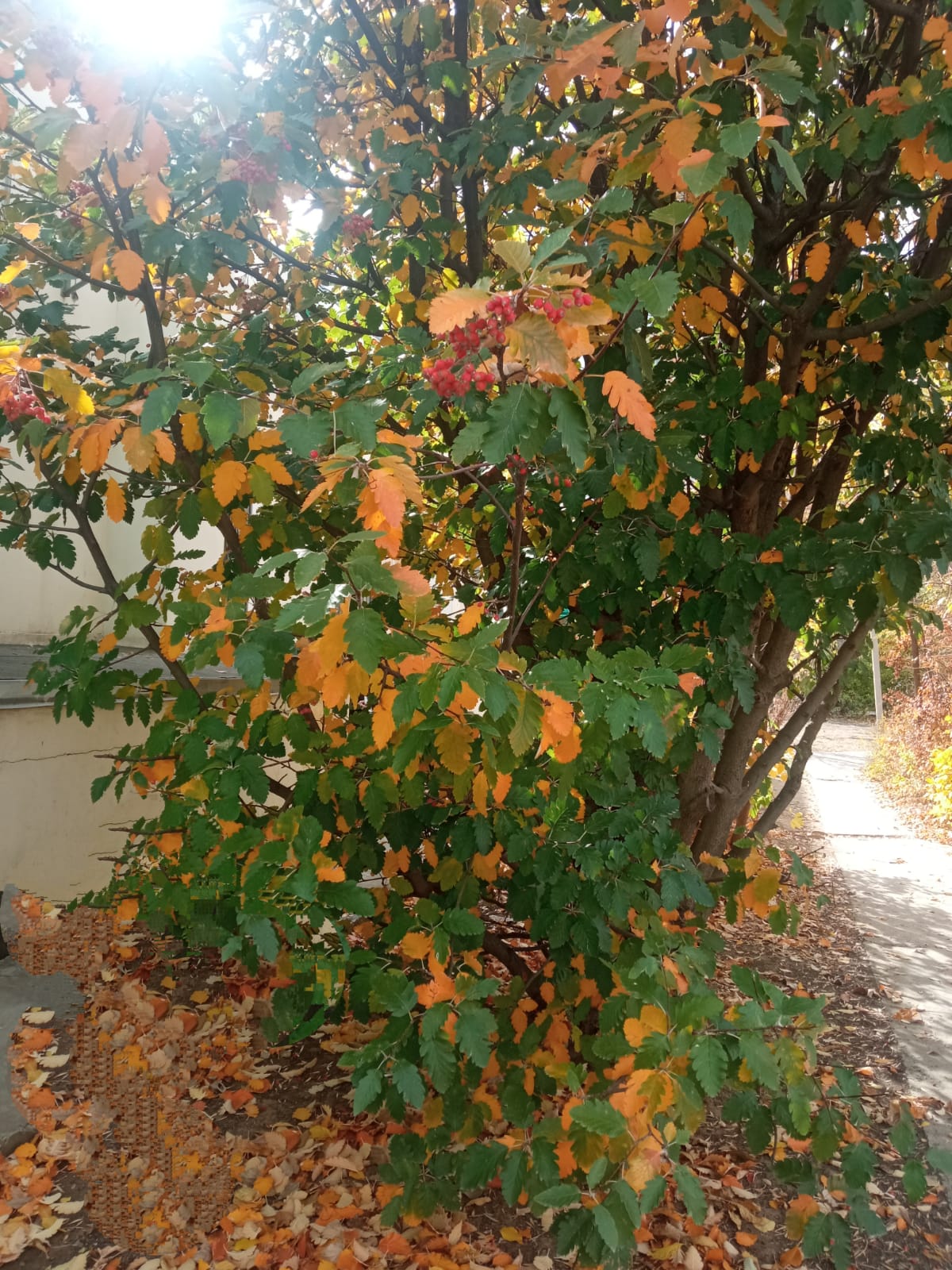 Только тепло ещё не растрачено