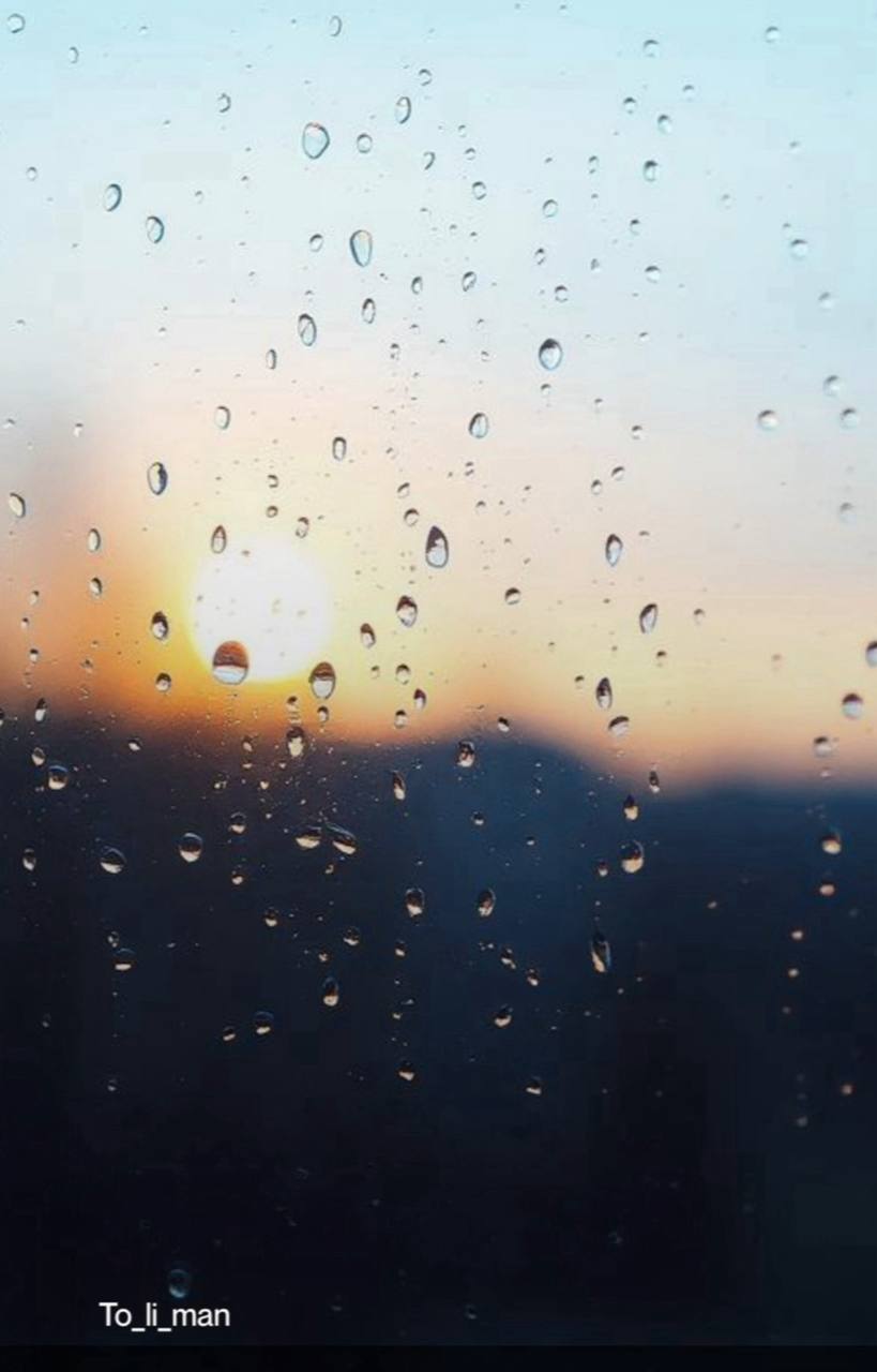 Взглянешь утром в окно...