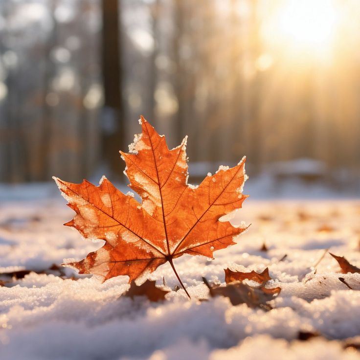 Отгуляла Осень