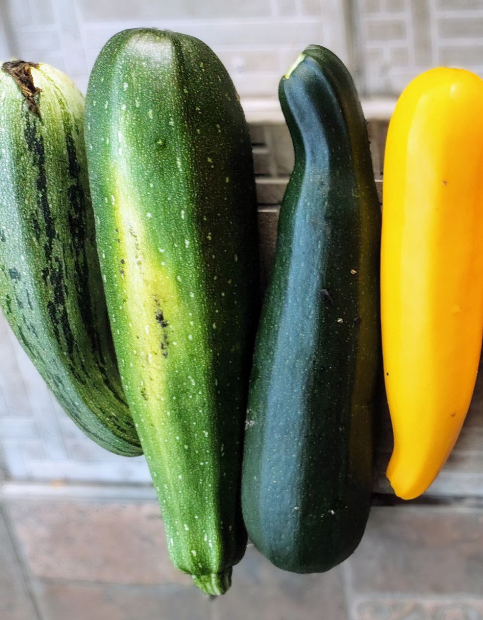 Поселился кабачок на широкой грядке