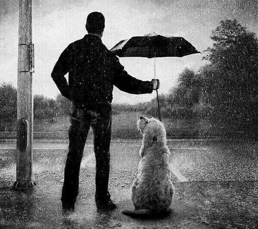 Дождливый нрав