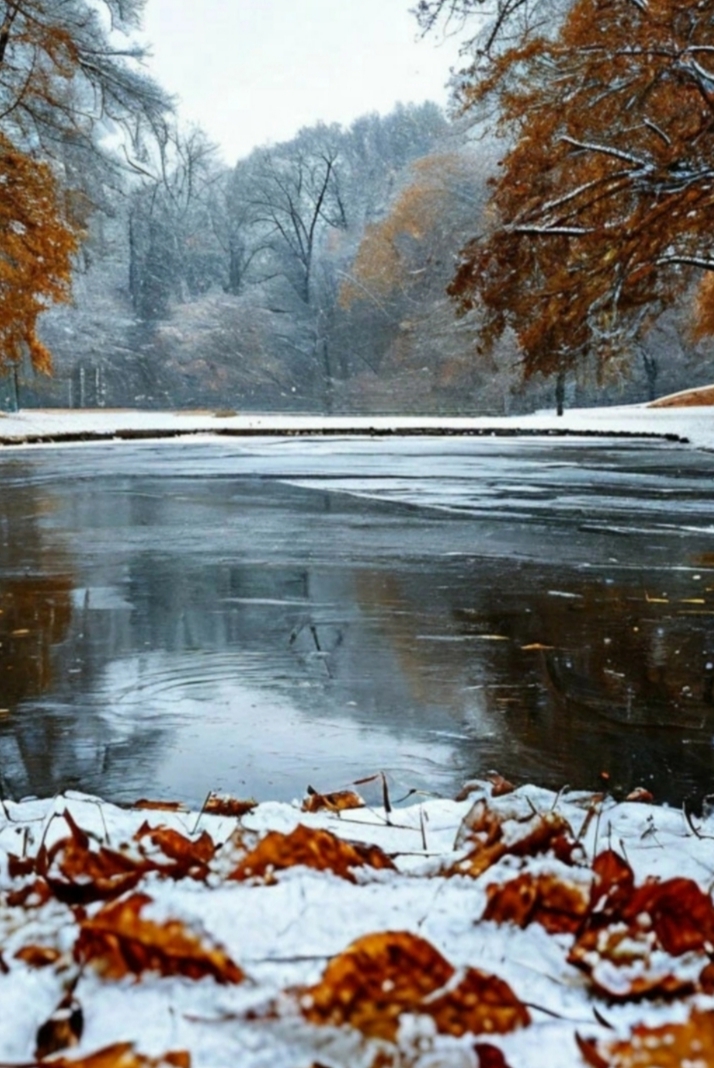 Показалось...