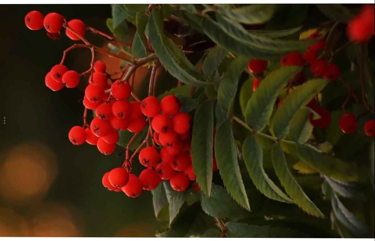 Исчезли лета отпечатки