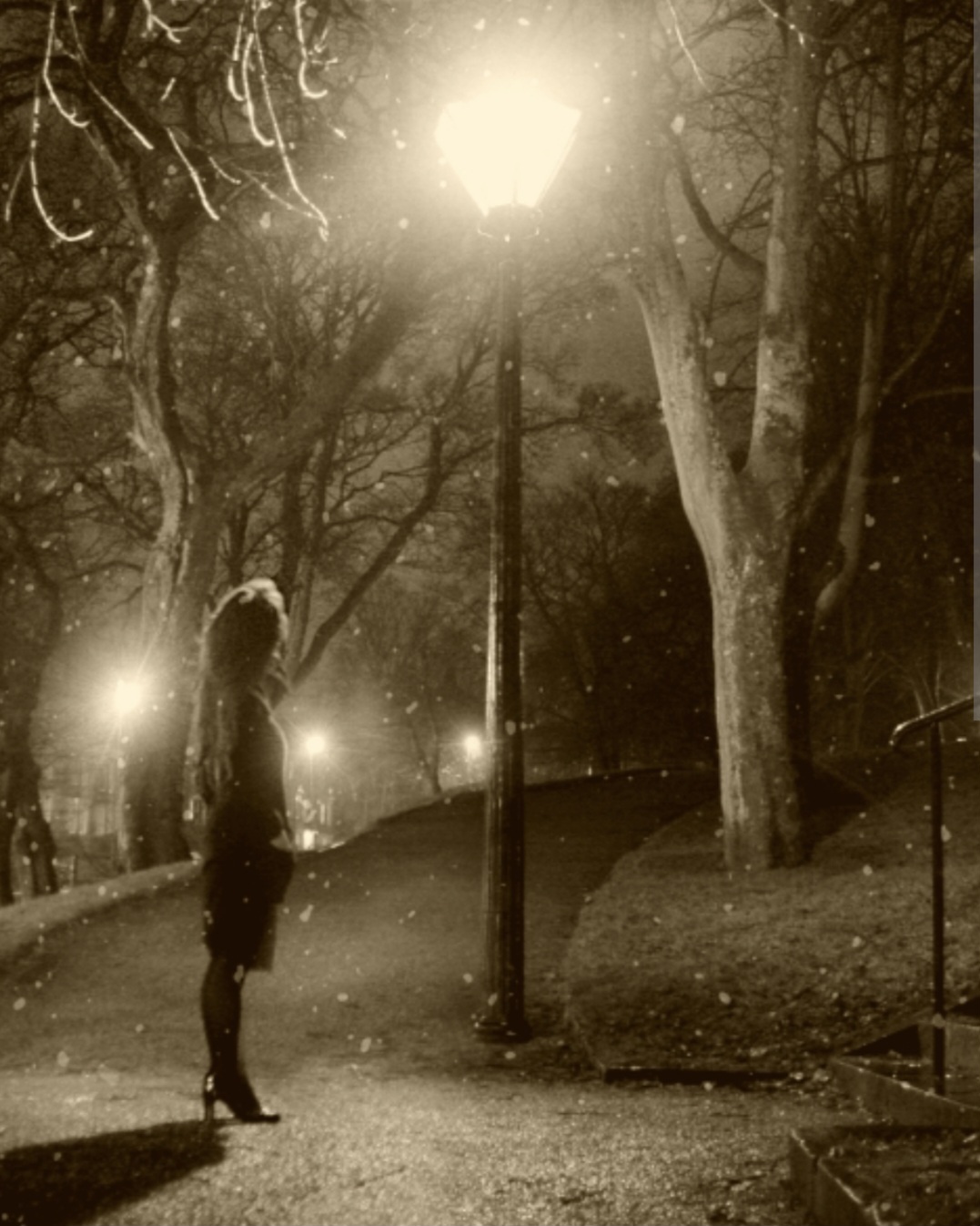 Я мягкий знак 29октября 2025г