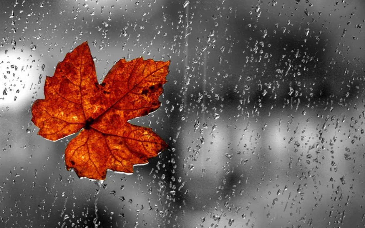 Будет зима...