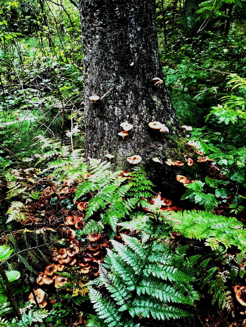 В мозаике осенней тишины из писем в облака