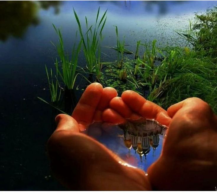 Мне б в ладонях твоих, без слов