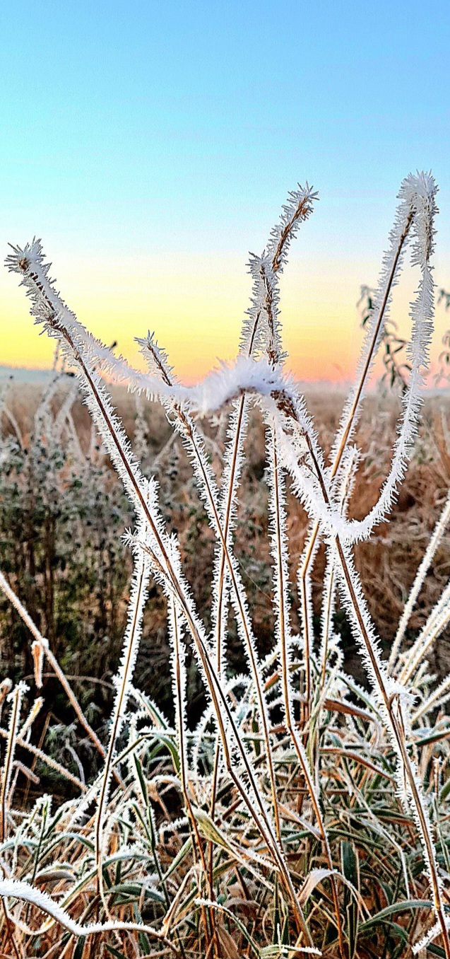 Из Ниоткуда в Никуда