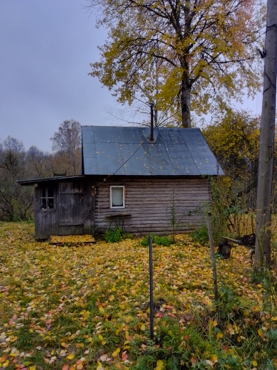 Осень с горки покатилась