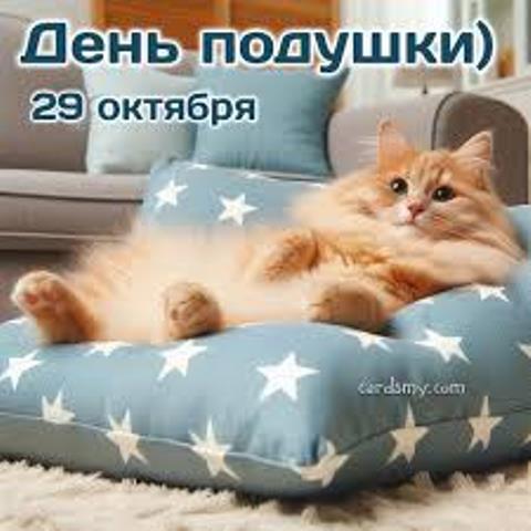 29 октября отмечается международный день подушки