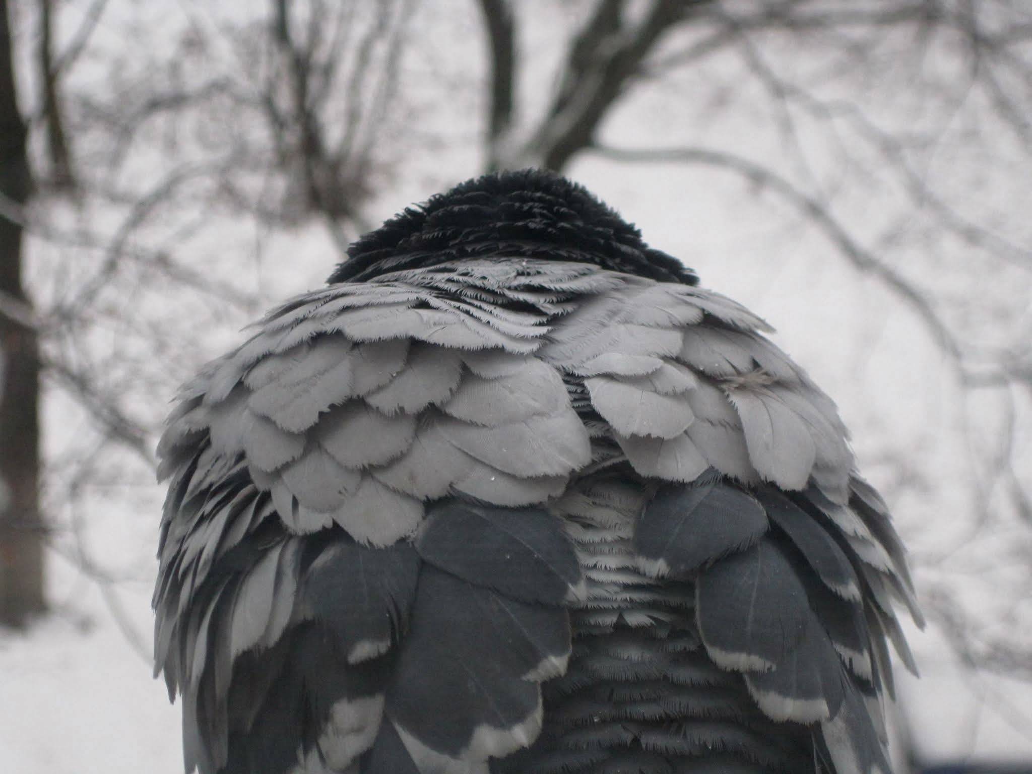 Здравствуй, ноябрь!