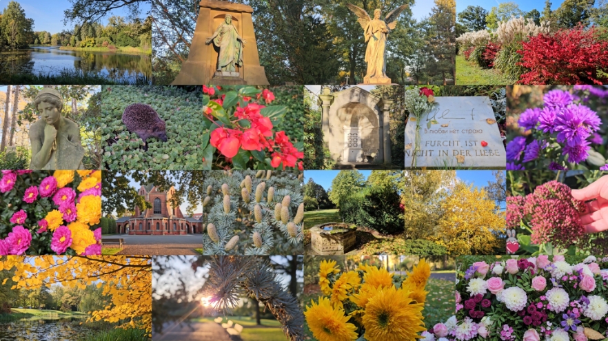 Невероятная золотая осень 24-25 St. Friedhof
