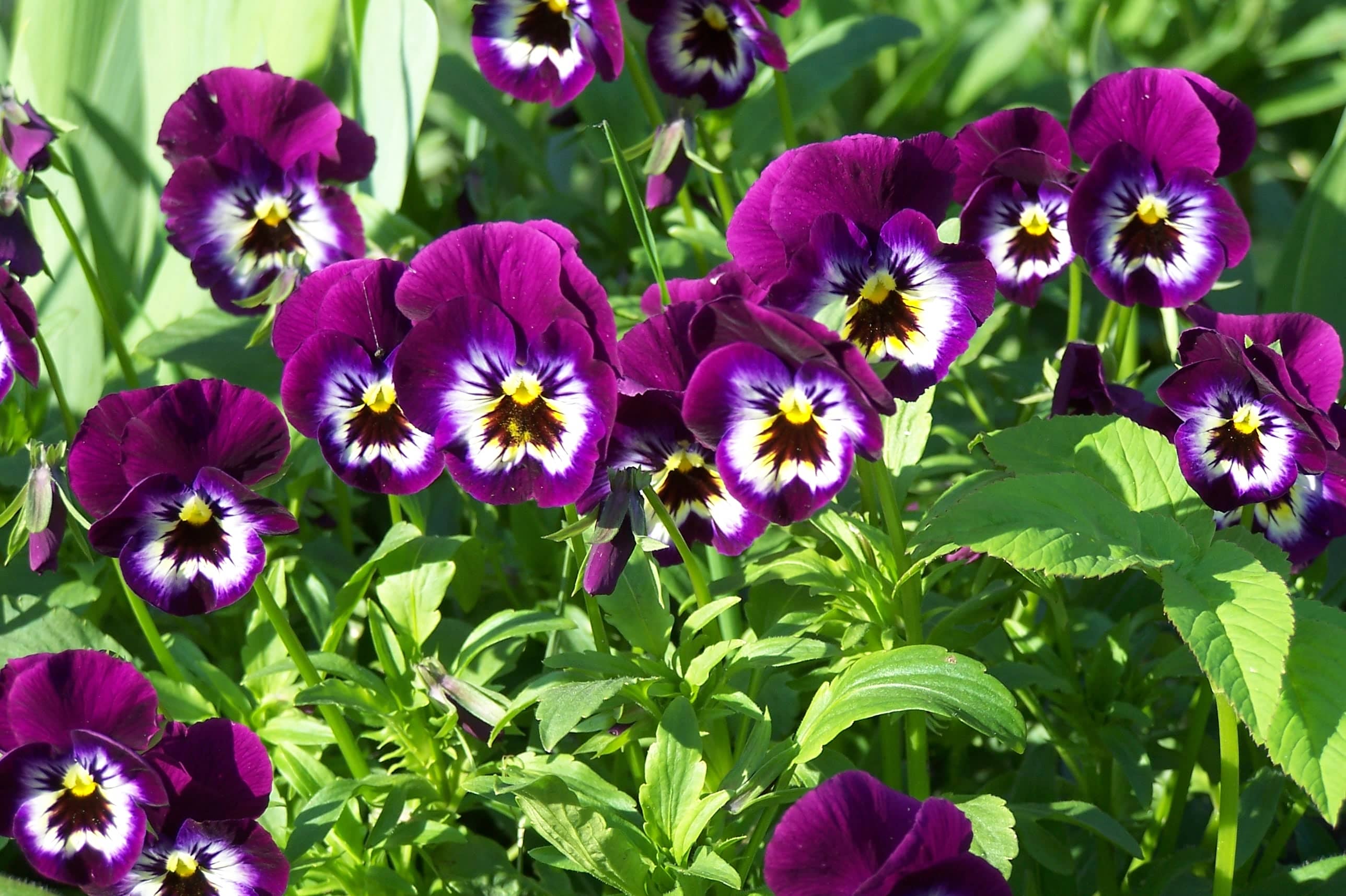 Однажды рядом не было её