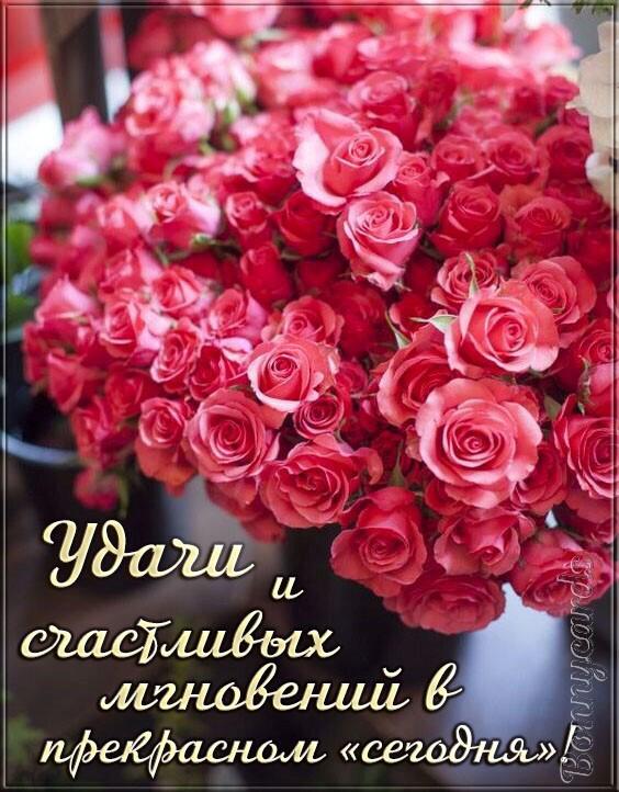 Поздравлялки. Поздравляю, обнимаю...