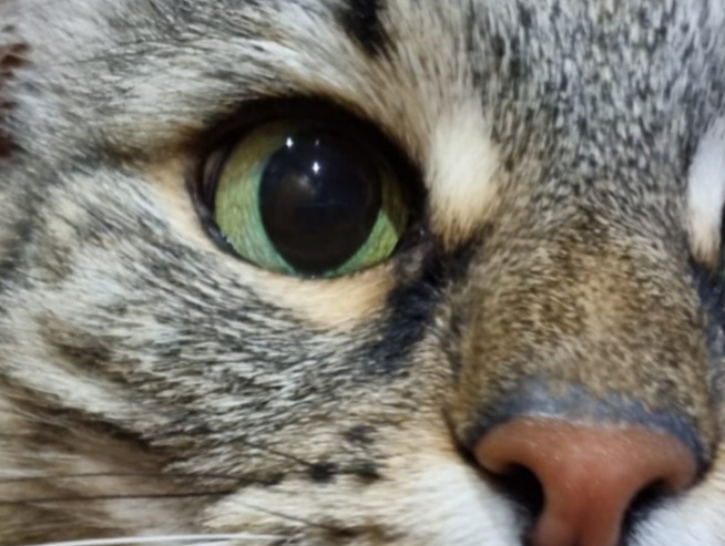 Бдить или не бдить?