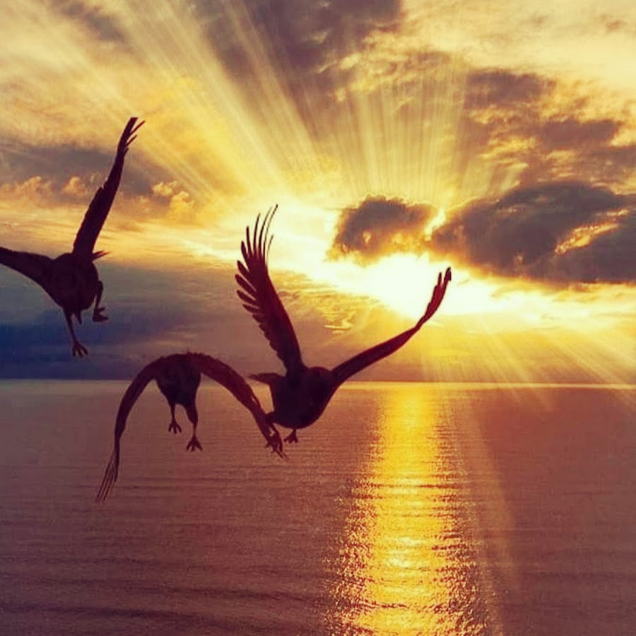 Трактат о вечном