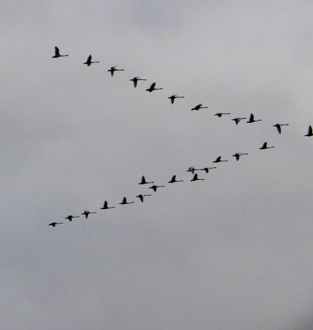 Стоит октябрь, не выпал снег