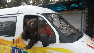 В маршрутке тесно...