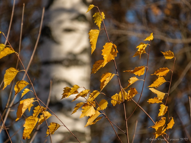 В конце октября