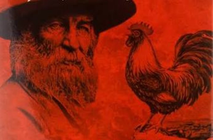 В Макондо дождь