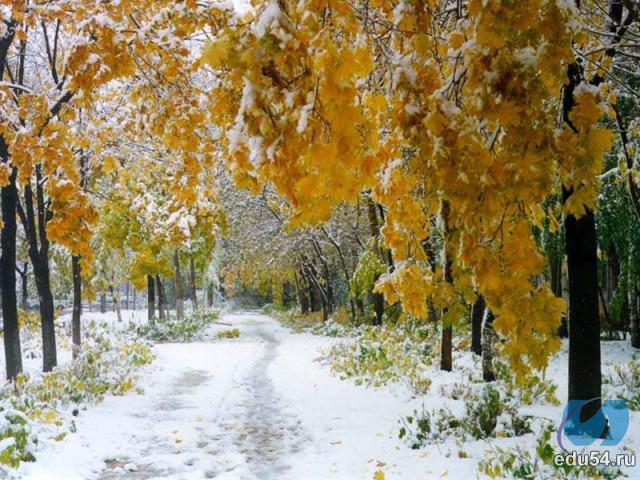 Янтарная осень- Золотая лира