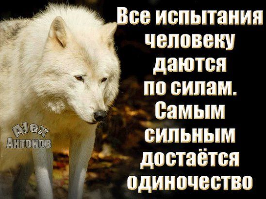 Испытания делают нас сильнее...