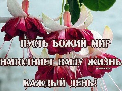 Отдайте сердце Богу...