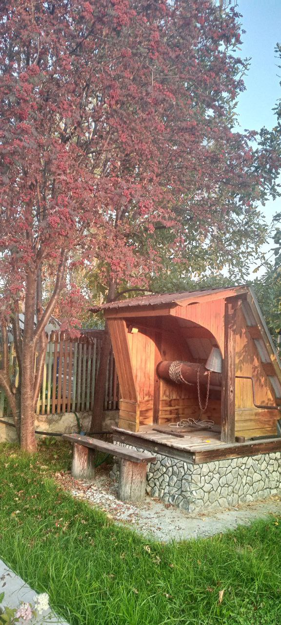 Мудрость жизни