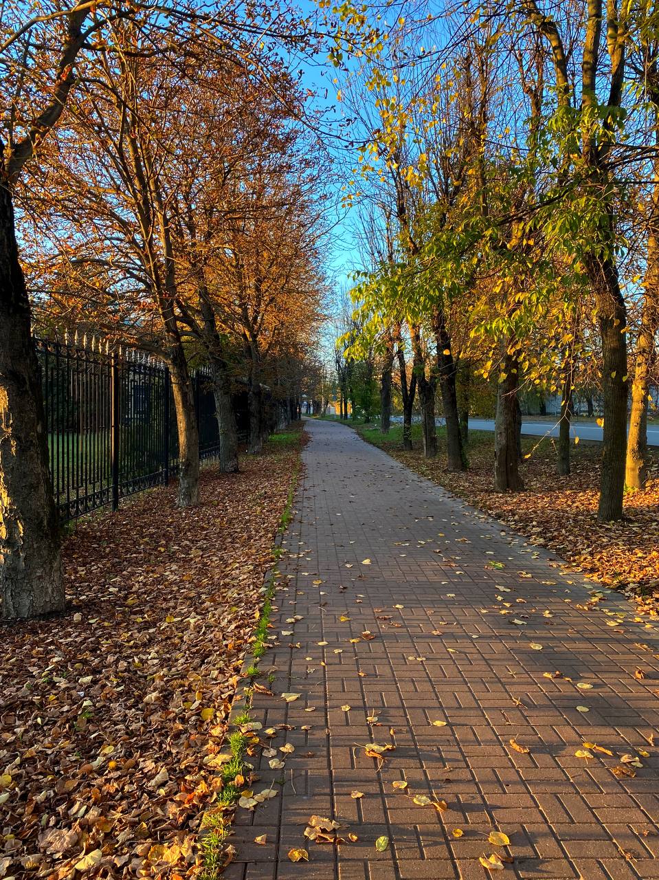 Жить наугад