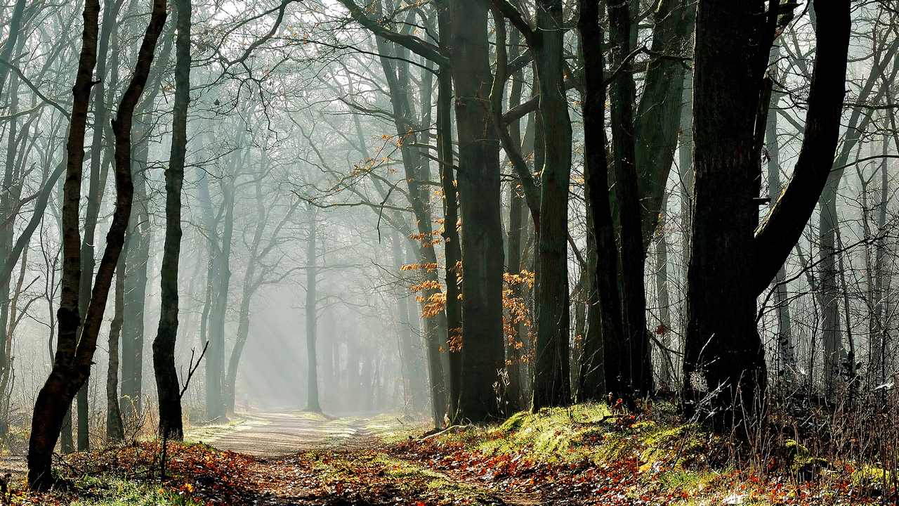 поздняя осень