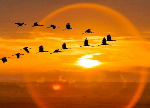 Болью отзовётся...