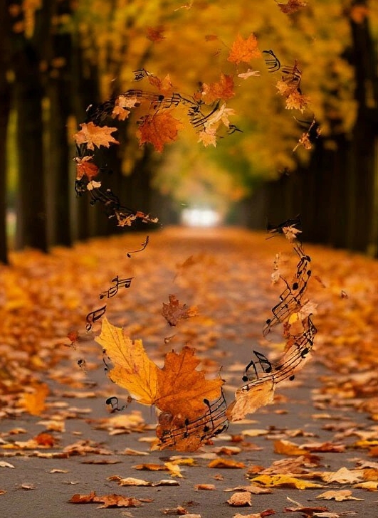 Заблудившийся полонез