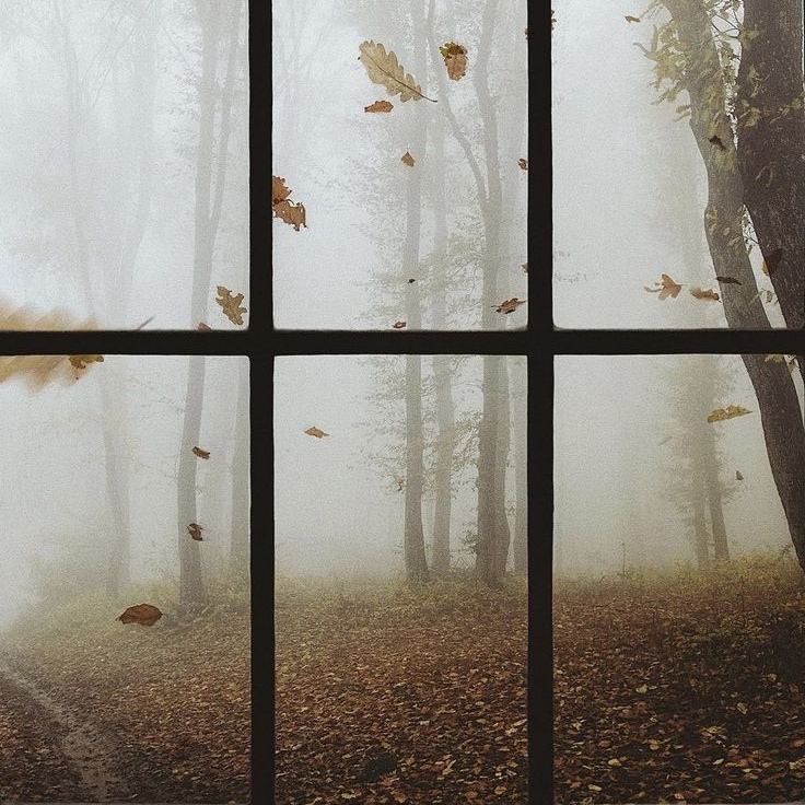 За окнами темно и сыро