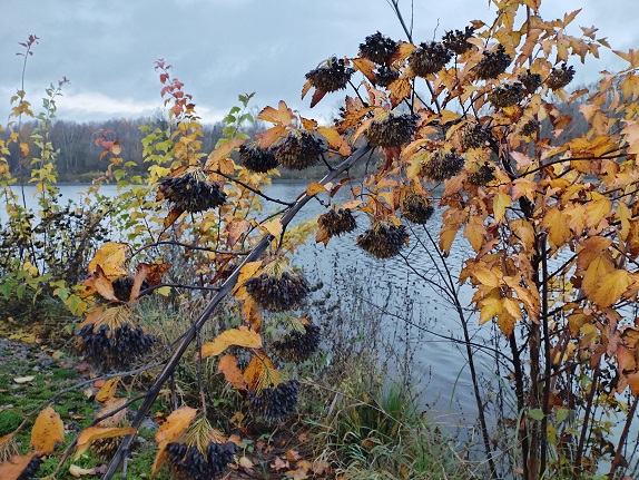 2025г. Рука скользнула по плечу. 1334