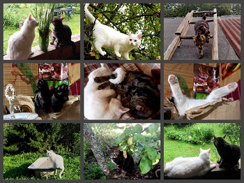 Как прекрасно жить! Диалог