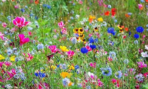 Отрадно замечать