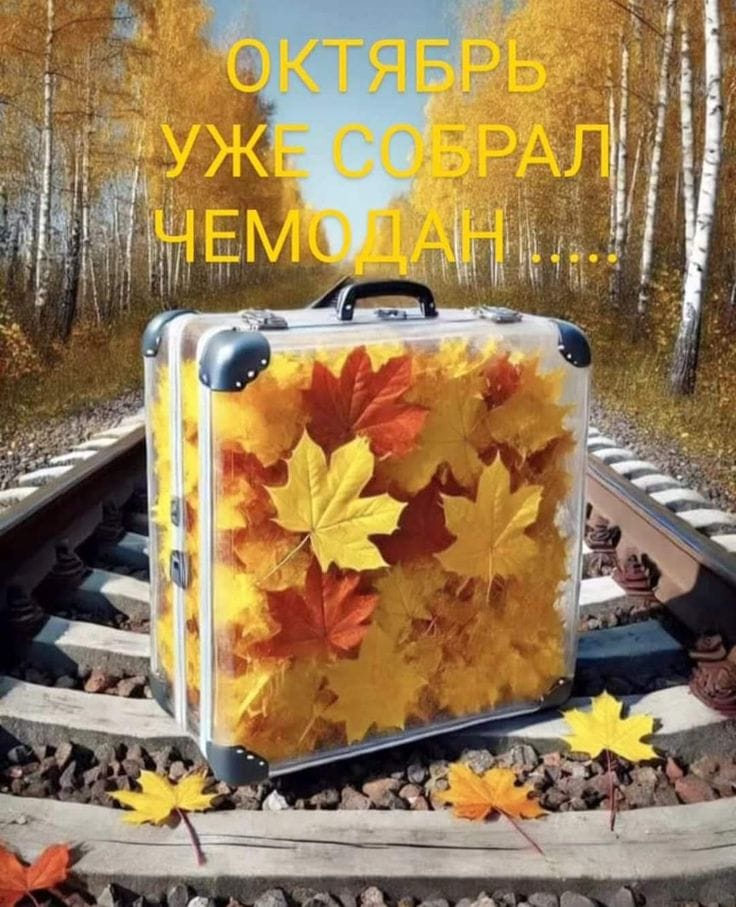 Собрал ценные воспоминания