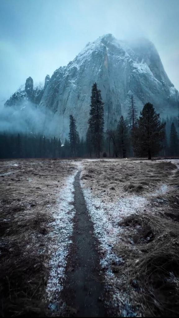Цикл для ТГ. Спокойной ночи. Смотрящий вдаль...